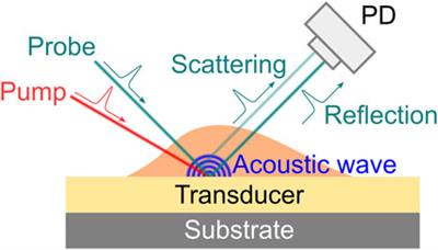 Non-contact and label-free biomechanical imaging: Stimulated Brillouin microscopy and beyond